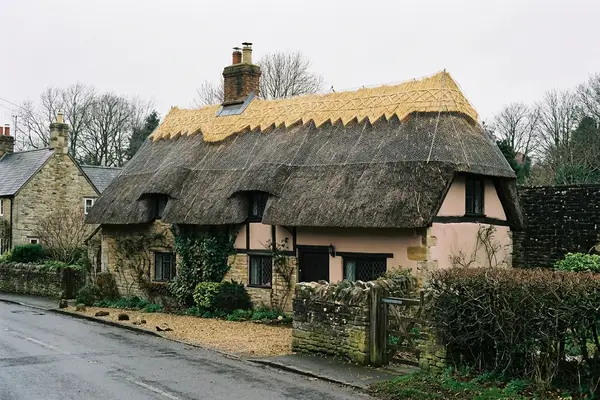 Illustration of a thatched roof